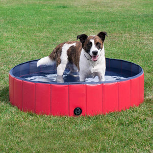 Foldable Swimming Pool