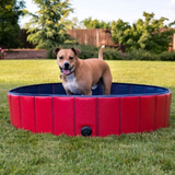 Foldable Swimming Pool