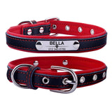 Personalized Dog Collar