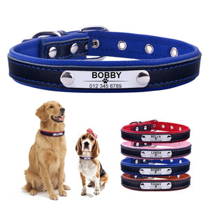 Personalized Dog Collar