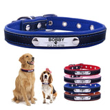 Personalized Dog Collar